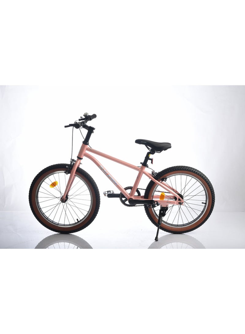 Raleigh POP 20 Inch alloy frame single speed - Image 1